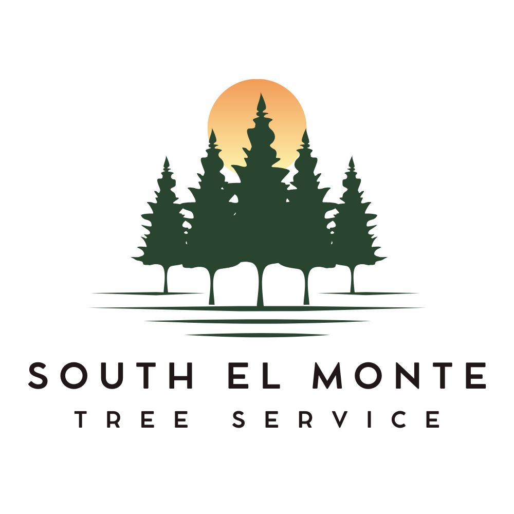South El Monte Tree Service
